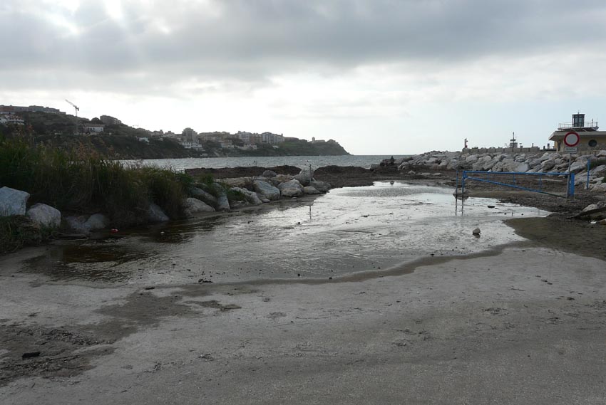 Rio Salivoli (Piombino) - rospi smeraldini in citt!